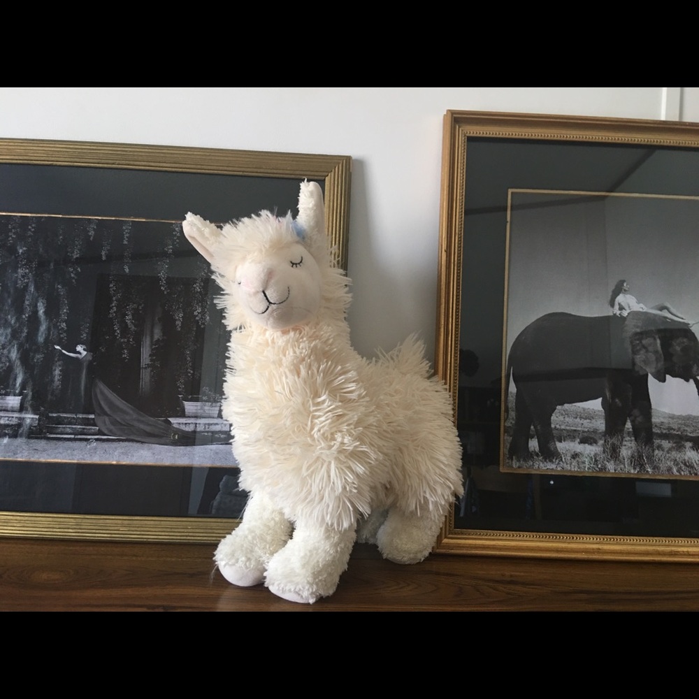 Anthropologie Llama